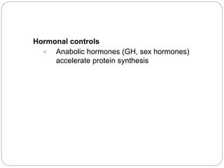 Hormonal controls
 Anabolic hormones (GH, sex hormones)
accelerate protein synthesis
 