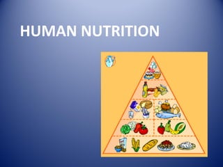 HUMAN NUTRITION
 