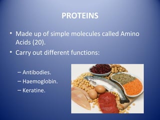 PROTEINS
• Made up of simple molecules called Amino
Acids (20).
• Carry out different functions:
– Antibodies.
– Haemoglobin.
– Keratine.
 