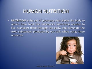HUMAN NUTRITIONHUMAN NUTRITION
• NUTRITIONNUTRITION is the set of processes that allows the body tois the set of processes that allows the body to
obtain from food the substances (nutrients) needed toobtain from food the substances (nutrients) needed to
live, transport them through the body, and eliminate thelive, transport them through the body, and eliminate the
toxic substances produced by our cells when using thosetoxic substances produced by our cells when using those
nutrients.nutrients.
Autora: Marta García T.Autora: Marta García T.
 