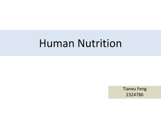 Human Nutrition
Tianxu Feng
2324786
 