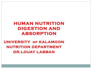 HUMAN NUTRITION DIGESTION AND ABSORPTION UNIVERSITY  of KALAMOON NUTRITION DEPARTMENT DR.LOUAY LABBAN 