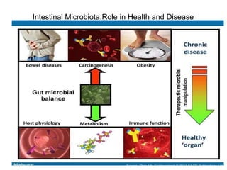 Human nutrition, gut microbiome and immune system | PPTX