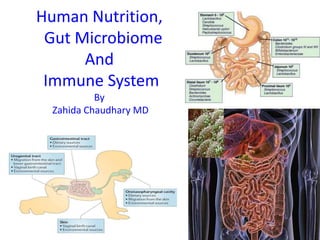 Human Nutrition,
Gut Microbiome
And
Immune System
By
Zahida Chaudhary MD

 