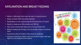 impact of nutrition on babies brain development | PPTX
