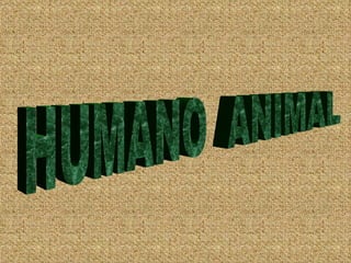 HUMANO ANIMAL
