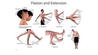 Flexion and Extension
 