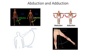 Abduction and Adduction
 