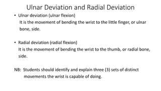 Ulnar Deviation and Radial Deviation
• Ulnar deviation (ulnar flexion)
It is the movement of bending the wrist to the little finger, or ulnar
bone, side.
• Radial deviation (radial flexion)
It is the movement of bending the wrist to the thumb, or radial bone,
side.
NB: Students should identify and explain three (3) sets of distinct
movements the wrist is capable of doing.
 