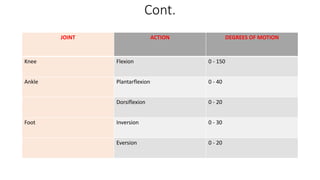 Cont.
JOINT ACTION DEGREES OF MOTION
Knee Flexion 0 - 150
Ankle Plantarflexion 0 - 40
Dorsiflexion 0 - 20
Foot Inversion 0 - 30
Eversion 0 - 20
 