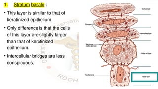 HUMAN ORAL MUCOSA & ITS APPLIED ASPECTS.pptx