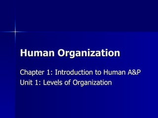 Human Organization Chapter 1: Introduction to Human A&P Unit 1: Levels of Organization 
