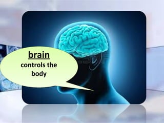 brain
controls the
body
brain
controls the
body
 