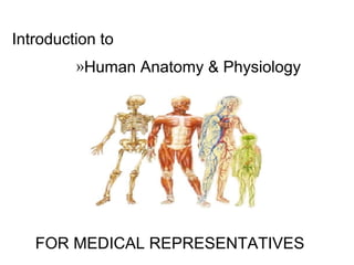 Introduction to
»Human Anatomy & Physiology
FOR MEDICAL REPRESENTATIVES
 