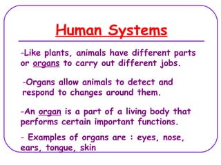 Human Systems
-Like plants, animals have different parts
or organs to carry out different jobs.

-Organs allow animals to detect and
respond to changes around them.

-An organ is a part of a living body that
performs certain important functions.
- Examples of organs are : eyes, nose,
ears, tongue, skin
 