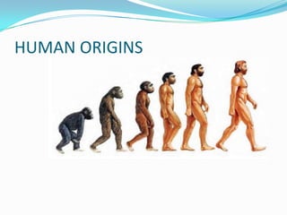 HUMAN ORIGINS
 