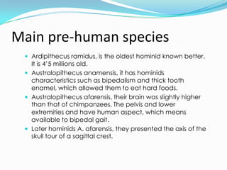 Humanorigins 140309074812-phpapp01.ppt