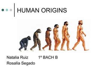 HUMAN ORIGINS
Natalia Ruiz 1º BACH B
Rosalía Segado
 
