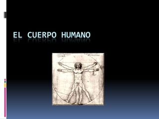 El cuerpo humano,[object Object]