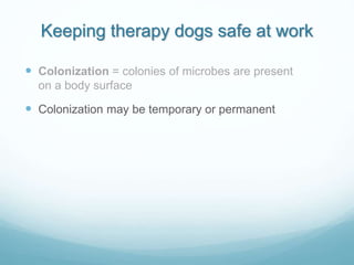 Keeping therapy dogs safe at work
 Colonization = colonies of microbes are present
on a body surface
 Colonization may b...