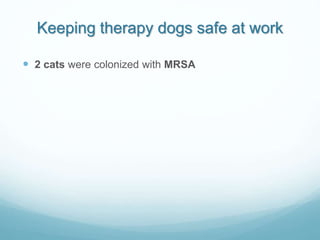 Keeping therapy dogs safe at work
 2 cats were colonized with MRSA
 
