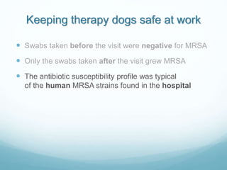 Keeping therapy dogs safe at work
 Swabs taken before the visit were negative for MRSA
 Only the swabs taken after the v...