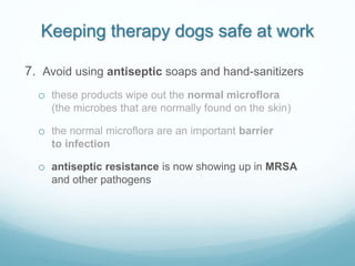 Keeping therapy dogs safe at work
7. Avoid using antiseptic soaps and hand-sanitizers
o these products wipe out the normal...