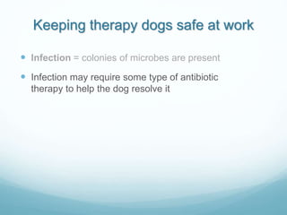 Keeping therapy dogs safe at work
 Infection = colonies of microbes are present
 Infection may require some type of anti...
