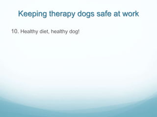 Keeping therapy dogs safe at work
10. Healthy diet, healthy dog!
 