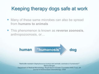 Keeping therapy dogs safe at work
 Many of these same microbes can also be spread
from humans to animals
 This phenomeno...