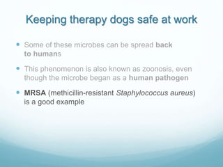 Keeping therapy dogs safe at work
 Some of these microbes can be spread back
to humans
 This phenomenon is also known as...