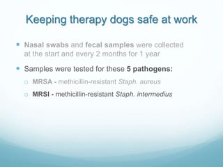 Keeping therapy dogs safe at work
 Nasal swabs and fecal samples were collected
at the start and every 2 months for 1 yea...