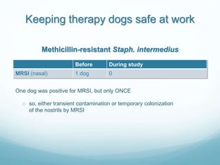 Keeping therapy dogs safe at work
Before During study
MRSI (nasal) 1 dog 0
Methicillin-resistant Staph. intermedius
One do...