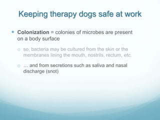 Keeping therapy dogs safe at work
 Colonization = colonies of microbes are present
on a body surface
o so, bacteria may b...
