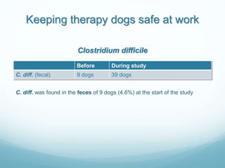 Keeping therapy dogs safe at work
Before During study
C. diff. (fecal) 9 dogs 39 dogs
Clostridium difficile
C. diff. was f...