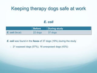 Keeping therapy dogs safe at work
Before During study
E. coli (fecal) 22 dogs 37 dogs
E. coli
E. coli was found in the fec...