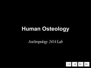 Human Osteology Anthropology 2414 Lab 