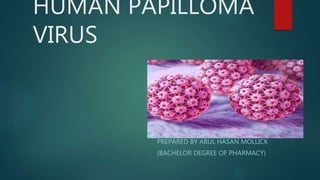 HUMAN PAPILLOMA
VIRUS
PREPARED BY ABUL HASAN MOLLICK
(BACHELOR DEGREE OF PHARMACY)
 
