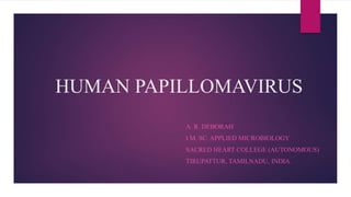 HUMAN PAPILLOMAVIRUS
A. R. DEBORAH
I M. SC. APPLIED MICROBIOLOGY
SACRED HEART COLLEGE (AUTONOMOUS)
TIRUPATTUR, TAMILNADU, INDIA.
 