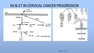 Human Papillomavirus and Cervical Cancer | PPTX
