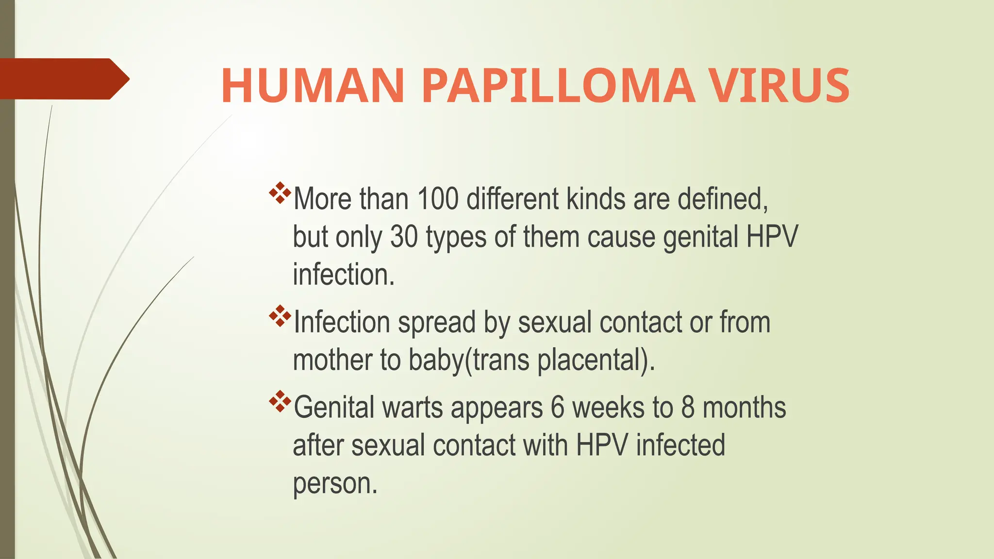 HUMAN PAPILLOMAVIRUS HPV pptm pptx2024 PPTX human-papillomavirus-hpv-pptm-pptx2024-pptx