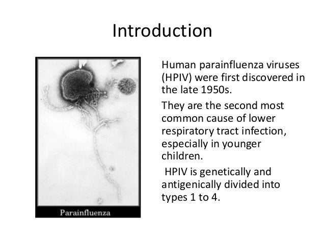 Human Para Influenza Virus