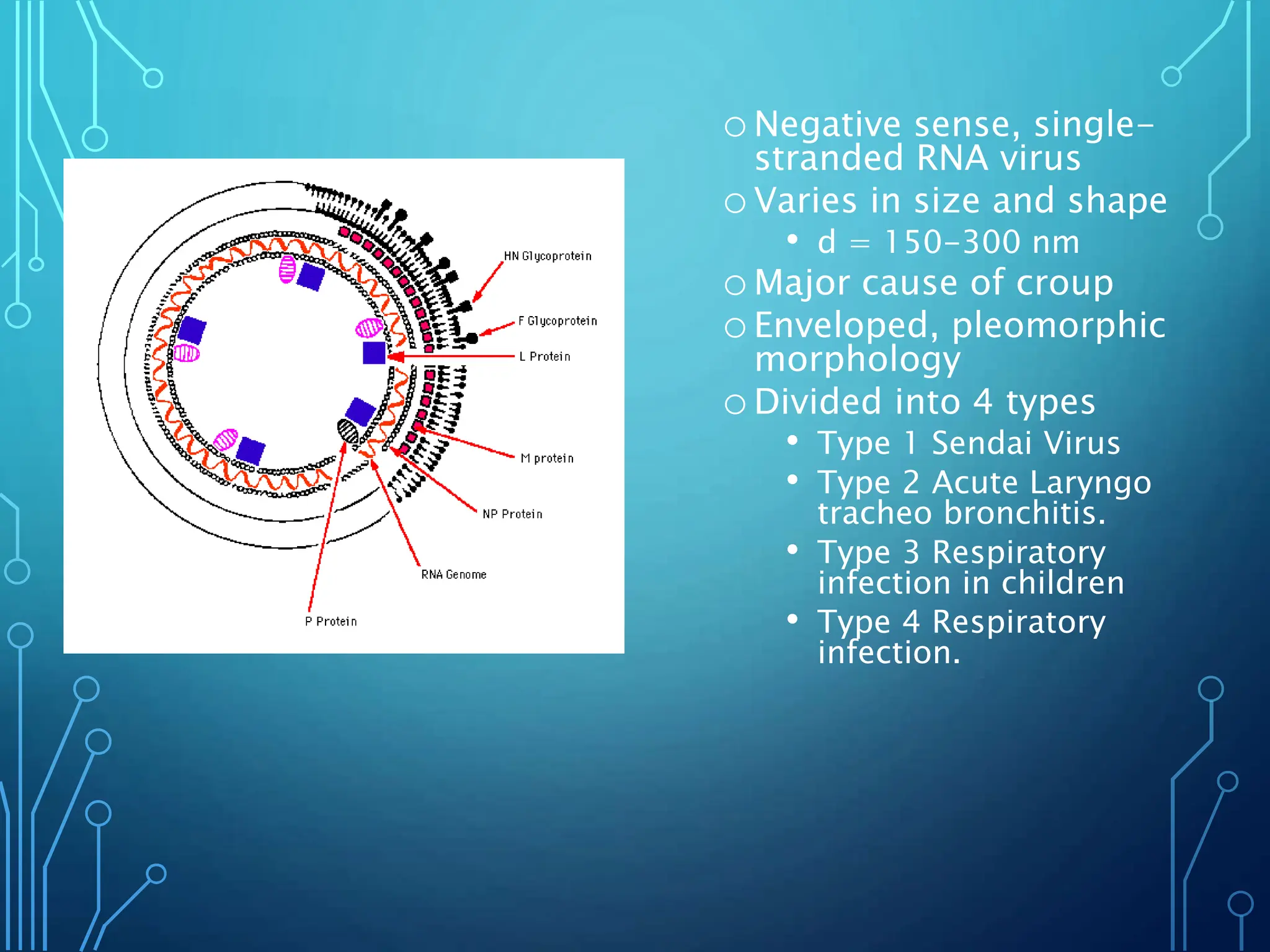 humanparainfluenzavirus 1.pptx. . | PPTX
