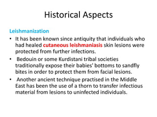 Historical Aspects
Leishmanization
• It has been known since antiquity that individuals who
had healed cutaneous leishmaniasis skin lesions were
protected from further infections.
• Bedouin or some Kurdistani tribal societies
traditionally expose their babies' bottoms to sandfly
bites in order to protect them from facial lesions.
• Another ancient technique practised in the Middle
East has been the use of a thorn to transfer infectious
material from lesions to uninfected individuals.

 