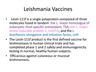 Leishmania Vaccines
•

Leish-111f is a single polyprotein composed of three
molecules fused in tandem: the L. major homologue of
eukaryotic thiol-specific antioxidant, TSA; the L. major
stress-inducible protein-1, LmSTI1; and the L.
braziliensis elongation and initiation factor, LeIF.
• The Leish-111f product is the first defined vaccine for
leishmaniasis in human clinical trials and has
completed phase 1 and 2 safety and immunogenicity
testing in normal, healthy human subjects.
• Efficacious against cutaneous or mucosal
leishmaniasis.

 