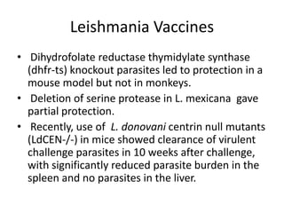 Leishmania Vaccines
• Dihydrofolate reductase thymidylate synthase
(dhfr-ts) knockout parasites led to protection in a
mouse model but not in monkeys.
• Deletion of serine protease in L. mexicana gave
partial protection.
• Recently, use of L. donovani centrin null mutants
(LdCEN-/-) in mice showed clearance of virulent
challenge parasites in 10 weeks after challenge,
with significantly reduced parasite burden in the
spleen and no parasites in the liver.

 