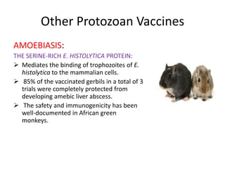 Other Protozoan Vaccines
AMOEBIASIS:
THE SERINE-RICH E. HISTOLYTICA PROTEIN:
 Mediates the binding of trophozoites of E.
histolytica to the mammalian cells.
 85% of the vaccinated gerbils in a total of 3
trials were completely protected from
developing amebic liver abscess.
 The safety and immunogenicity has been
well-documented in African green
monkeys.

 