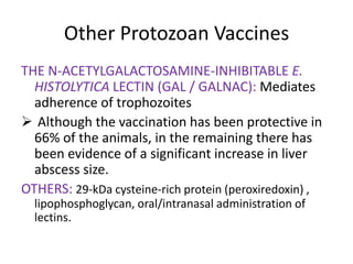 Other Protozoan Vaccines
THE N-ACETYLGALACTOSAMINE-INHIBITABLE E.
HISTOLYTICA LECTIN (GAL / GALNAC): Mediates
adherence of trophozoites
 Although the vaccination has been protective in
66% of the animals, in the remaining there has
been evidence of a significant increase in liver
abscess size.
OTHERS: 29-kDa cysteine-rich protein (peroxiredoxin) ,
lipophosphoglycan, oral/intranasal administration of
lectins.

 
