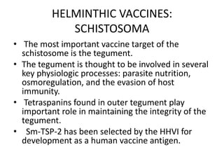 HELMINTHIC VACCINES:
SCHISTOSOMA
• The most important vaccine target of the
schistosome is the tegument.
• The tegument is thought to be involved in several
key physiologic processes: parasite nutrition,
osmoregulation, and the evasion of host
immunity.
• Tetraspanins found in outer tegument play
important role in maintaining the integrity of the
tegument.
• Sm-TSP-2 has been selected by the HHVI for
development as a human vaccine antigen.

 
