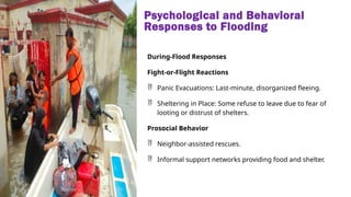Psychological and Behavioral
Responses to Flooding
During-Flood Responses
Fight-or-Flight Reactions
 Panic Evacuations: Last-minute, disorganized fleeing.
 Sheltering in Place: Some refuse to leave due to fear of
looting or distrust of shelters.
Prosocial Behavior
 Neighbor-assisted rescues.
 Informal support networks providing food and shelter.
 